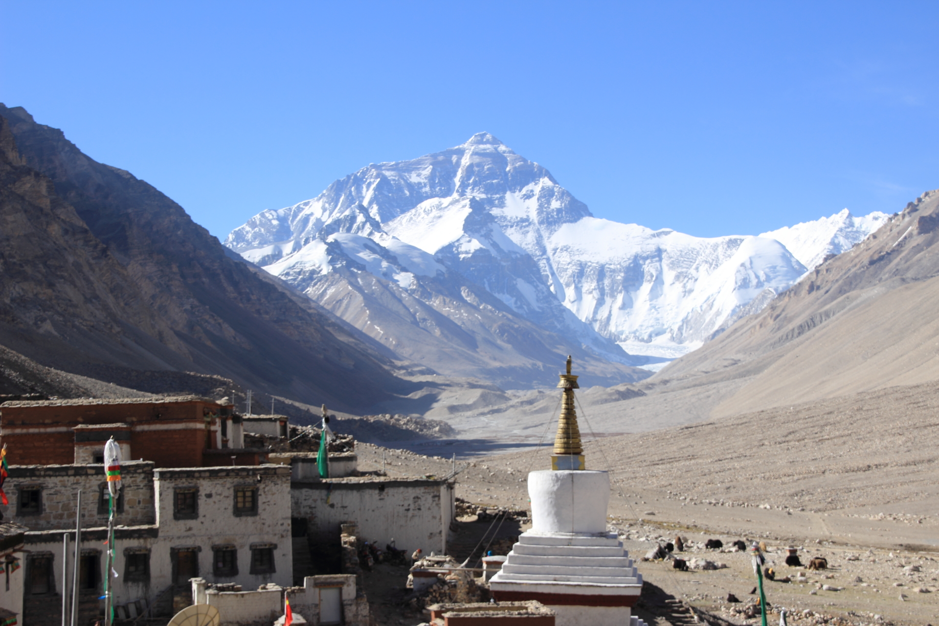 dpp_00011241_9159675302_o