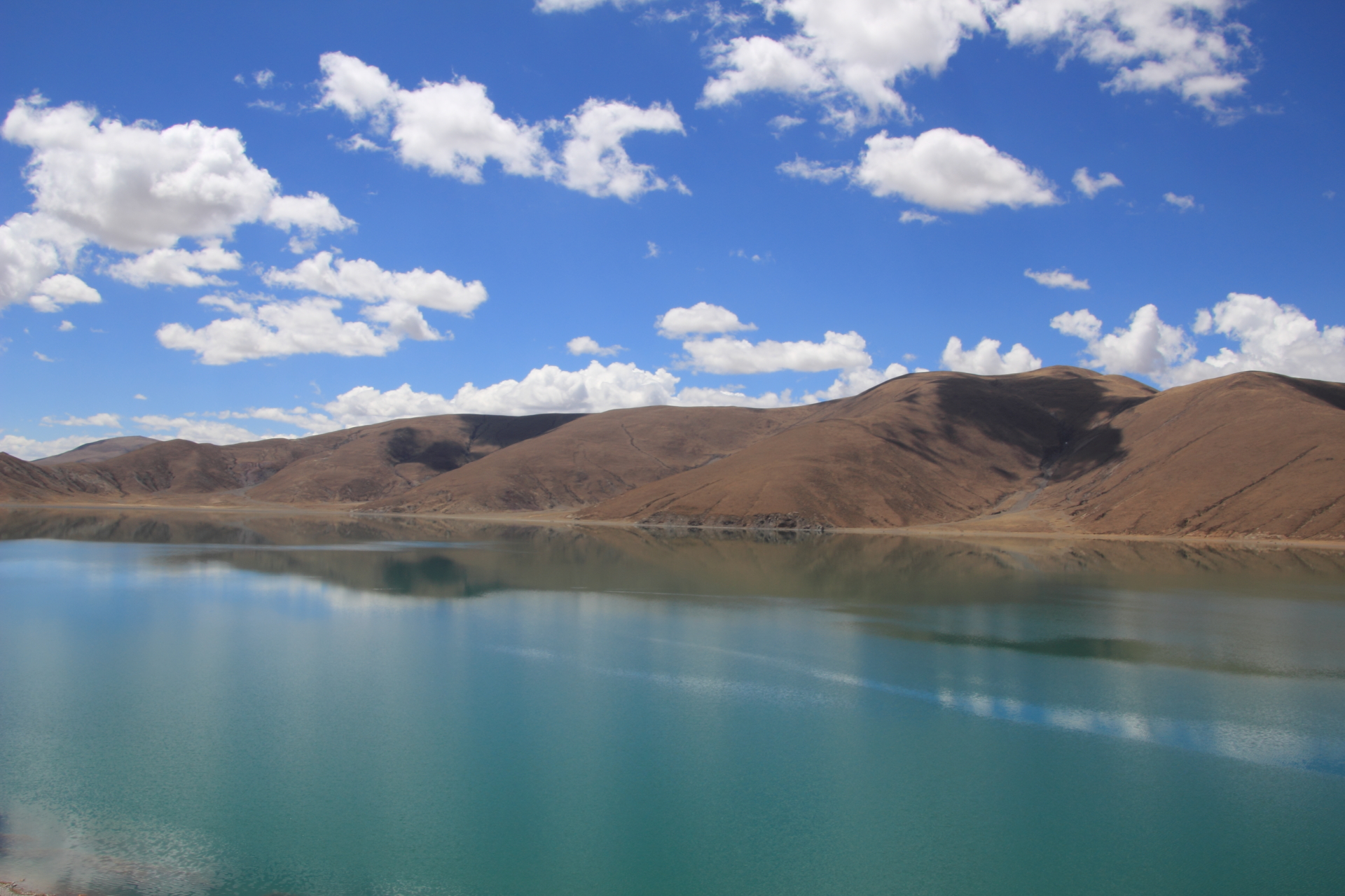 dpp_00082219_9166298555_o