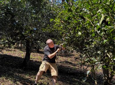 China 2025 Spring 1 28