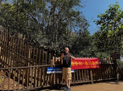 China 2025 Spring 1 29