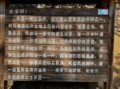 China 2025 Spring 1 32