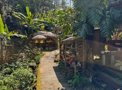 China 2025 Spring 1 36