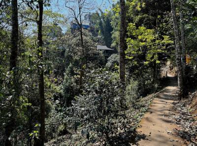 China 2025 Spring 1 40