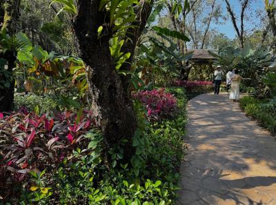 China 2025 Spring 1 61