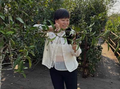 China 2025 Spring 1 69