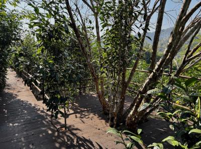 China 2025 Spring 1 70