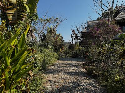 China 2025 Spring 1 73