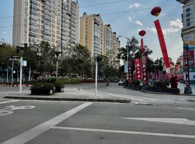 China 2025 Spring 1 96