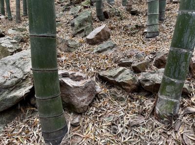 China 2025 Spring 2 11