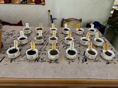 China 2025 Spring 2 13