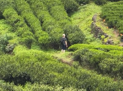 China 2025 Spring 2 62