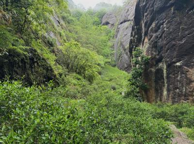 China 2025 Spring 2 66