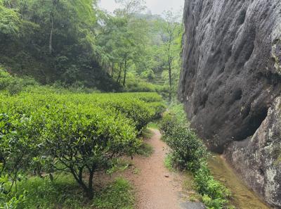 China 2025 Spring 2 67