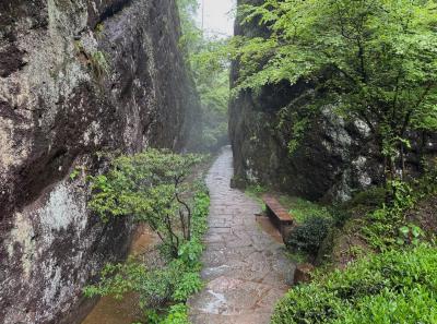 China 2025 Spring 2 68