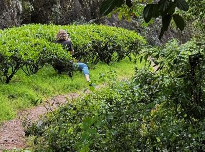 China 2025 Spring 2 70