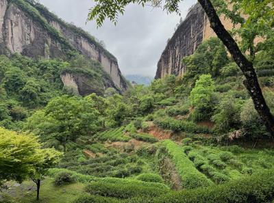 China 2025 Spring 2 75