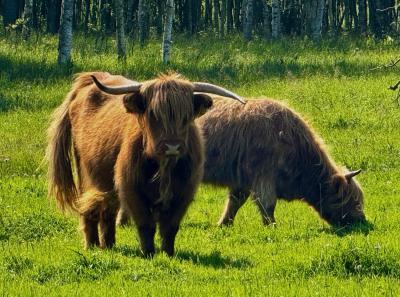 Osmussaar Inipi 2025 07 19