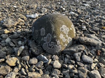 Osmussaar Inipi 2025 07 22