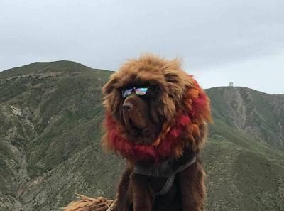 34064665 10156299217304326 8933165559135076352 N 30323559768 O