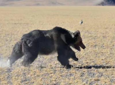 34108624 10156299217364326 423713667805085696 N 30323559398 O