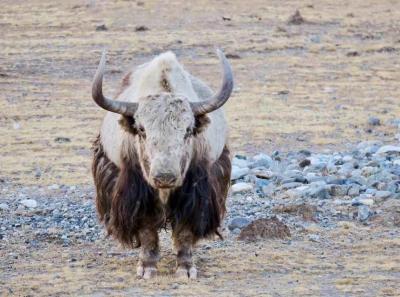 34120418 10156299216769326 3620606457856131072 N 44142506762 O