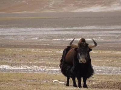 34120961 10156299217429326 838303016892235776 N 30323559238 O