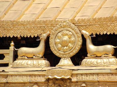 Img 2015 42732014514 O