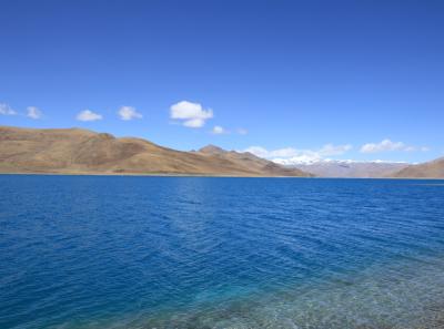 Img 2076 41640420280 O