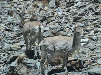 Img 2081 41640422360 O