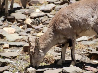 Img 2083 41640423420 O