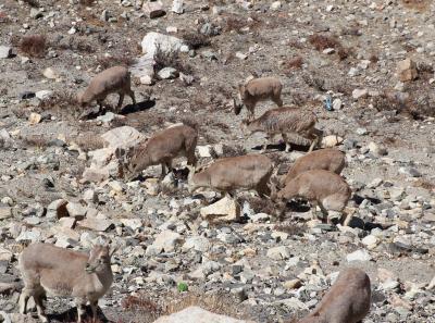 Img 2141 42543436835 O