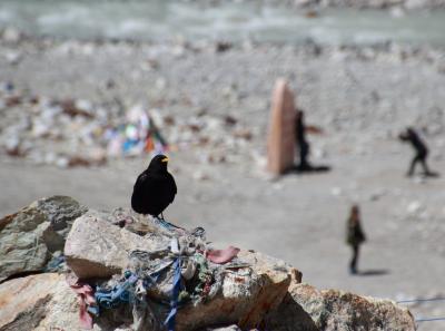 Img 2153 41640443580 O