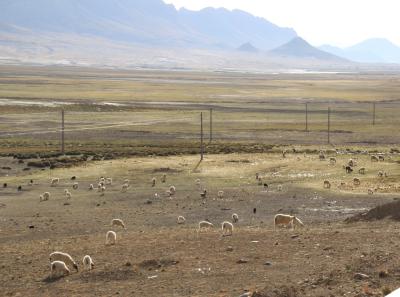 Img 2198 43400077242 O