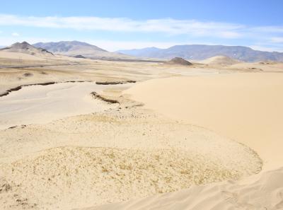 Img 2231 42732153154 O