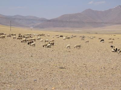 Img 2246 42732168504 O