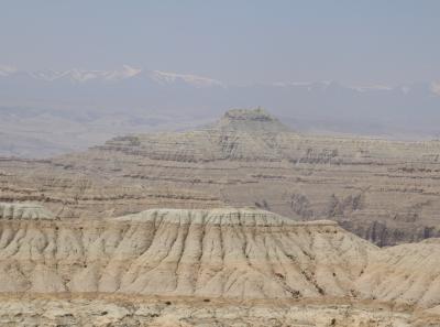 Img 2293 42543516215 O