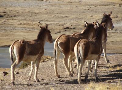 Img 2323 43400136632 O