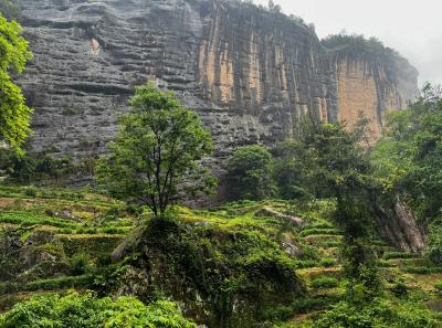 China 2023 Apr 104 52872564234 O