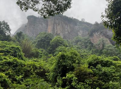 China 2023 Apr 106 52872830378 O