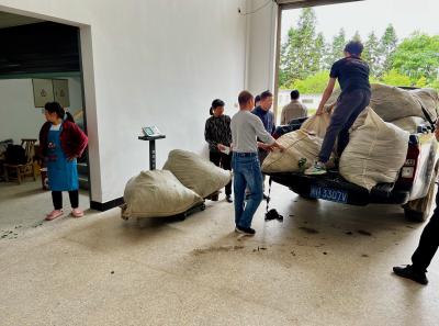 China 2023 Apr 138 52871817512 O