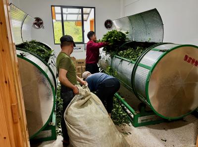 China 2023 Apr 141 52872835223 O