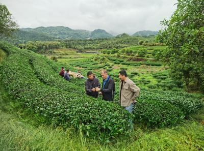 China 2023 Apr 150 52872838318 O