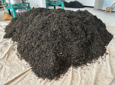 China 2023 Apr 39 52872762420 O