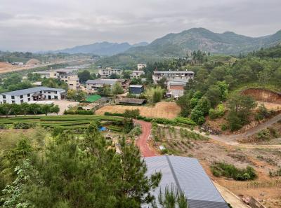 China 2023 Apr 48 52872374236 O