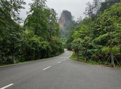 China 2023 Apr 65 52871806042 O