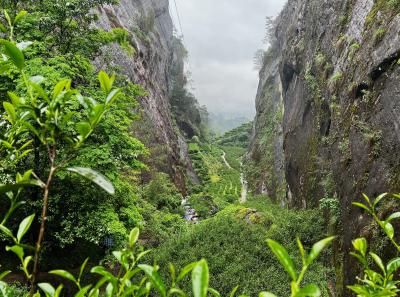 China 2023 Apr 83 52872825848 O