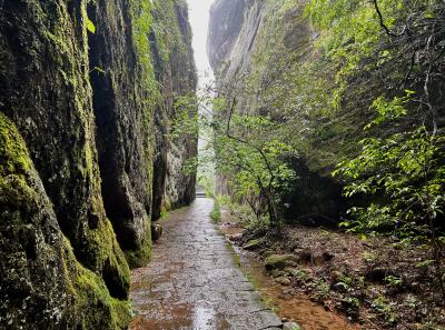 China 2023 Apr 86 52872386571 O