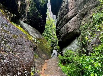 China 2023 Apr 87 52871809872 O