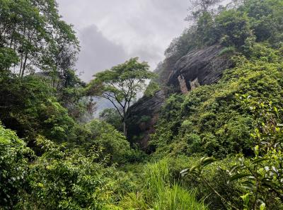 China 2023 Apr 88 52872827103 O