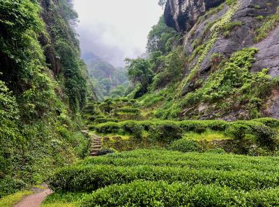 China 2023 Apr 89 52871810527 O